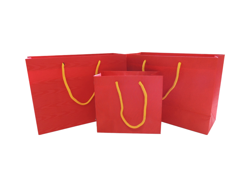 手提(tí)袋定制